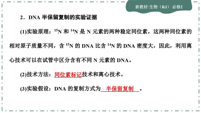 3.3《DNA的复制》3.4《基因通常是有遗传效应的DNA片段》课件PPT07