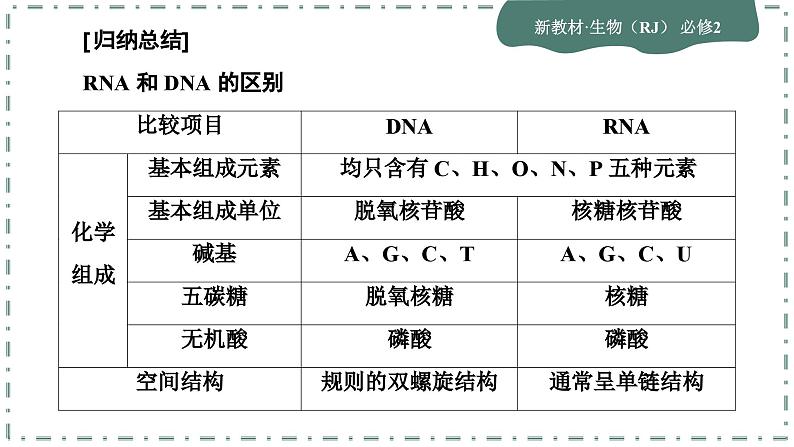 4.1《基因指导蛋白质的合成》课件PPT07