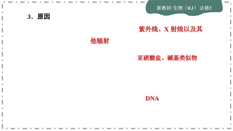 5.1《基因突变和基因重组》课件PPT07