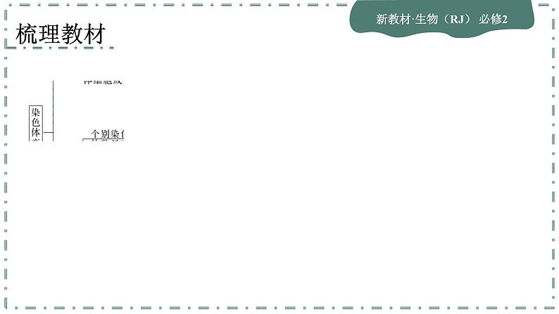 5.2《染色体变异》课件PPT第5页