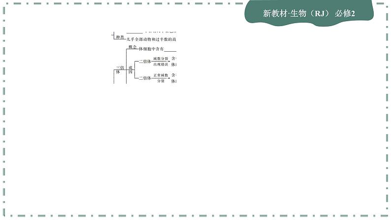 5.2《染色体变异》课件PPT第6页