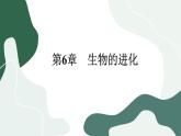 6.3.2《种群基因组成的变化与物种的形成》课件PPT