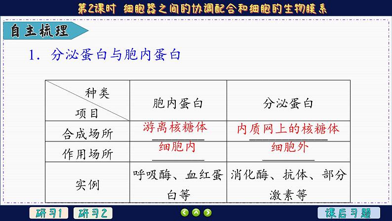 3—2—2 细胞器之间的协调配合和细胞的生物膜系统（课件PPT）第7页