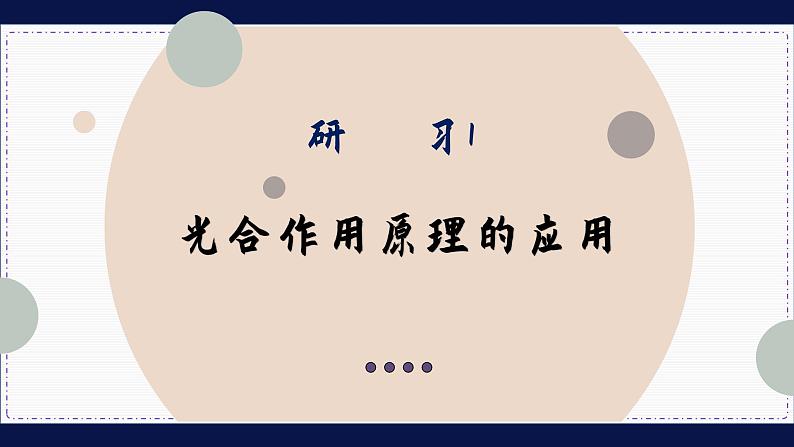 5—4—2—2 光合作用原理的应用 （课件PPT）05