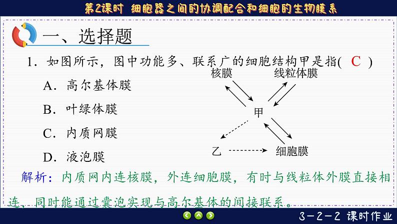 3—2—2 细胞器之间的协调配合和细胞的生物膜系统（练习课件PPT）02