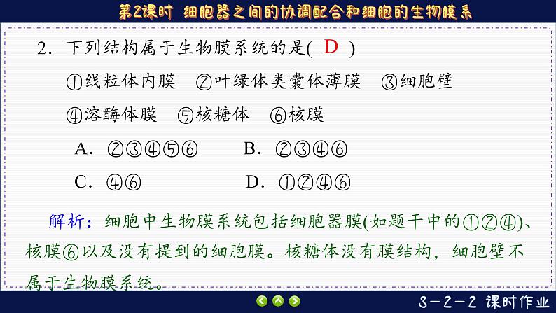 3—2—2 细胞器之间的协调配合和细胞的生物膜系统（练习课件PPT）03