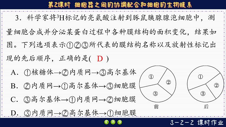 3—2—2 细胞器之间的协调配合和细胞的生物膜系统（练习课件PPT）04