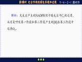 5—4—2—1 光合作用的探究历程和过程 （练习课件PPT）