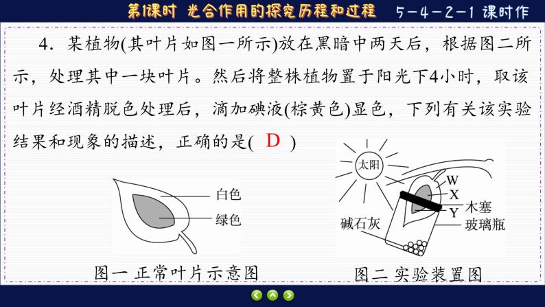 5—4—2—1 光合作用的探究历程和过程 （练习课件PPT）08