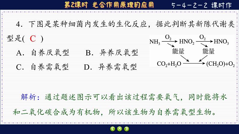 5—4—2—2 光合作用原理的应用 （练习课件PPT）08