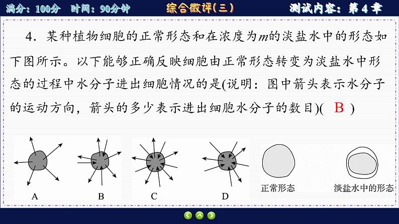 人教版生物必修1 综合测评3（课件PPT）08