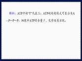 人教版生物必修1 综合测评4（课件PPT）