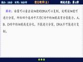 人教版生物必修1 综合测评5（课件PPT）