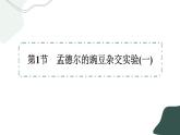 1.1.2《孟德尔的豌豆杂交实验（一）》课件PPT