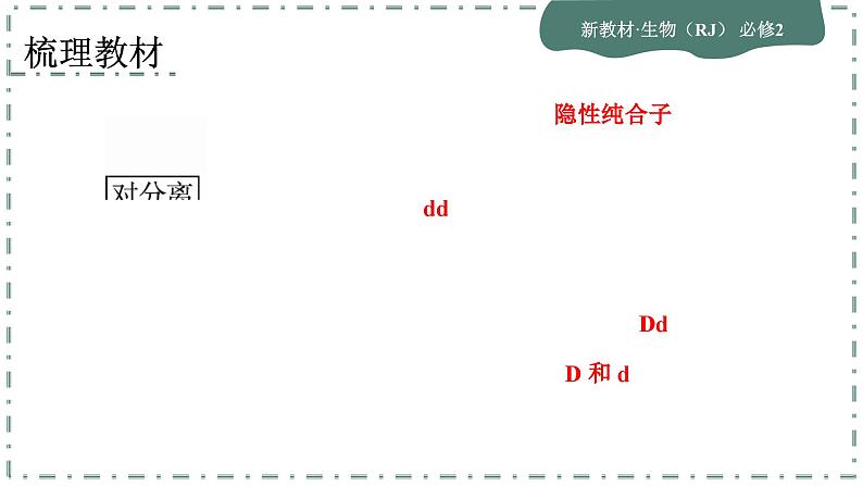 1.1.2《孟德尔的豌豆杂交实验（一）》课件PPT第6页