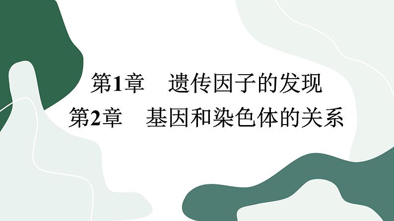 人教版生物必修2 第一、二章综合测评（课件PPT）第1页