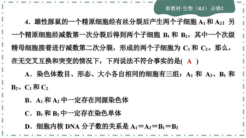 人教版生物必修2 第一、二章综合测评（课件PPT）第7页