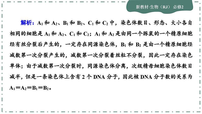 人教版生物必修2 第一、二章综合测评（课件PPT）第8页