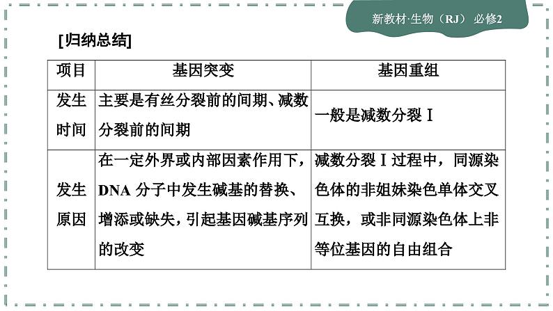 人教版生物必修2 微专题6（课件PPT）第5页