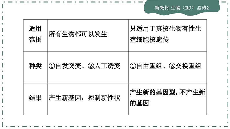 人教版生物必修2 微专题6（课件PPT）第6页