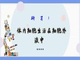 1—1 細(xì)胞生活的環(huán)境 （課件PPT）