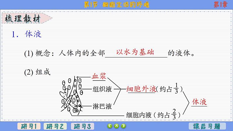 1—1 细胞生活的环境 （课件PPT）04