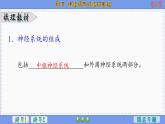 2—1 神經(jīng)調(diào)節(jié)的結(jié)構(gòu)基礎(chǔ) （課件PPT）