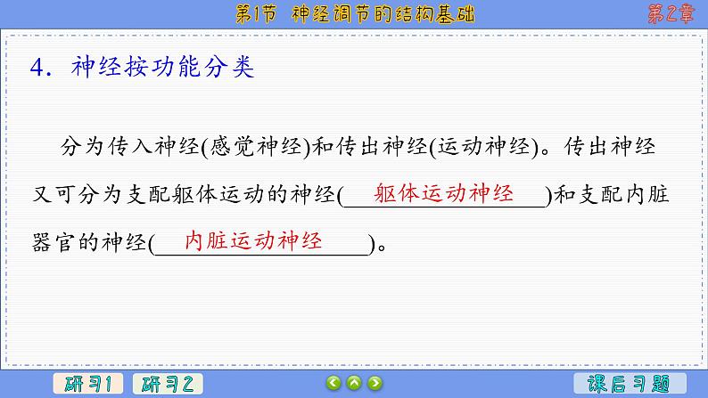 2—1 神经调节的结构基础 （课件PPT）07