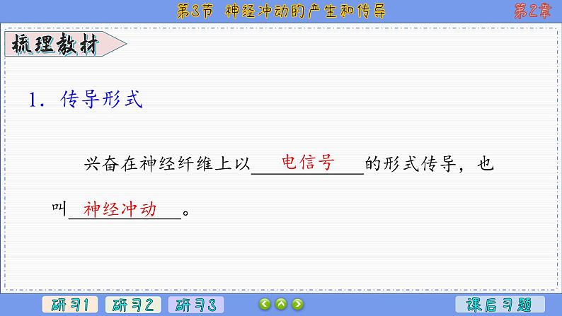 2—3 神经冲动的产生和传导 （课件PPT）第4页