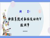 2—4 神经系统的分级调节  （课件PPT）