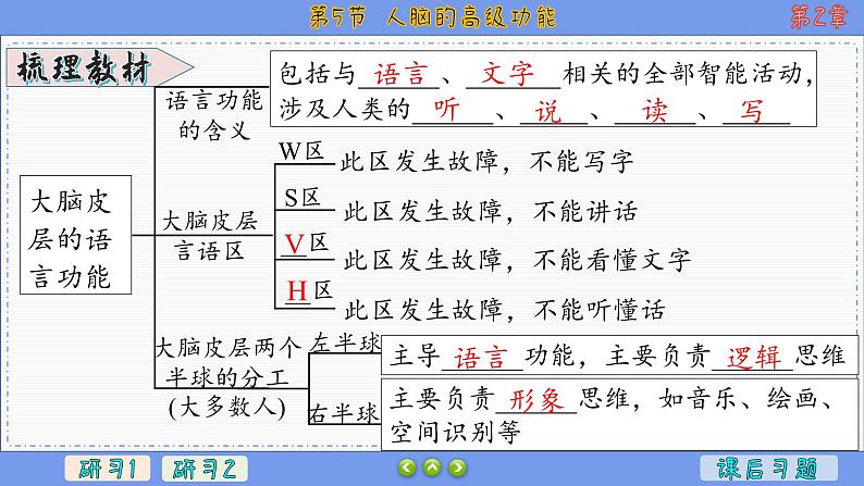 2—5 人脑的高级功能  （课件PPT）第4页