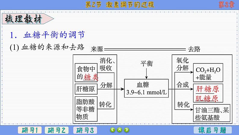 3—2 激素调节的过程 （课件PPT）04