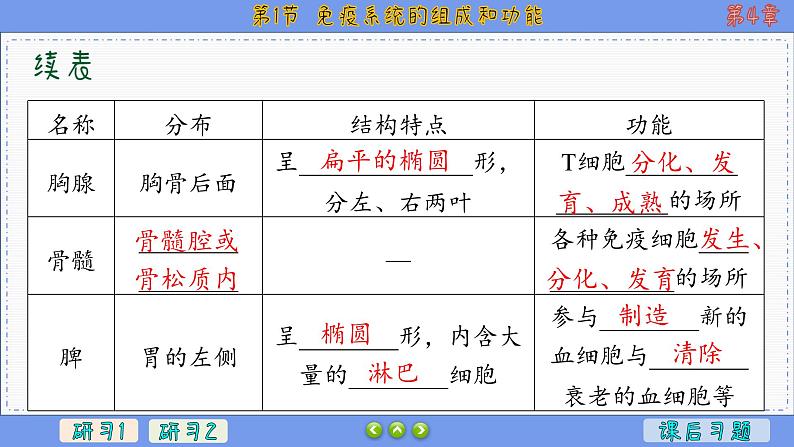 4—1 免疫系统的组成和功能 （课件PPT）05