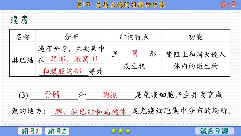 4—1 免疫系统的组成和功能 （课件PPT）06