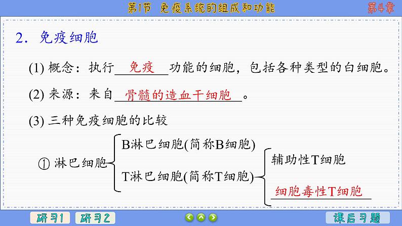 4—1 免疫系统的组成和功能 （课件PPT）07