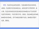 人教版生物选修1 第4章 综合微评（课件PPT）