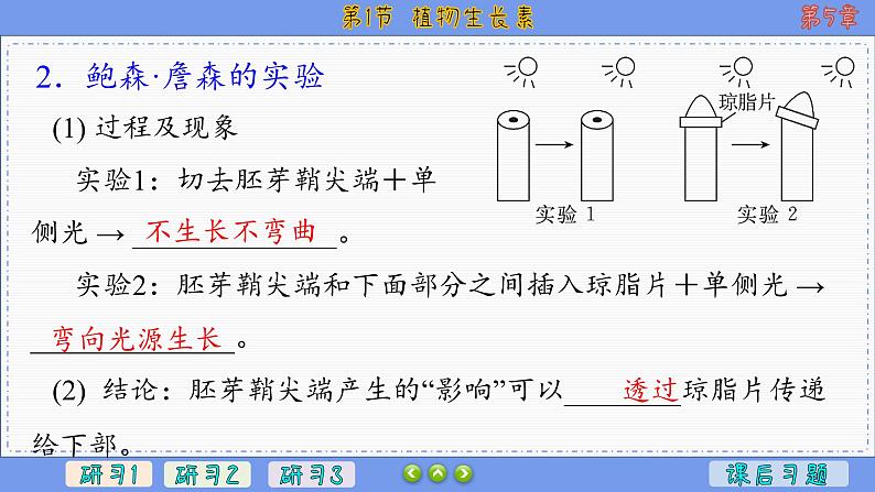 5—1 植物生长素 （课件PPT）07