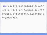 人教版生物选修1 第5章 综合微评（课件PPT）