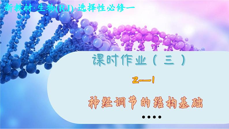 2—1 神经调节的结构基础 （练习课件PPT）01