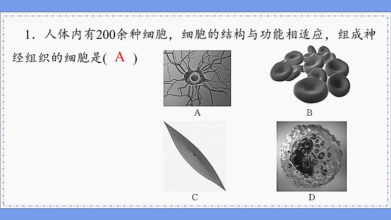 2—1 神经调节的结构基础 （练习课件PPT）02