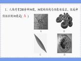 2—1 神经调节的结构基础 （练习课件PPT）