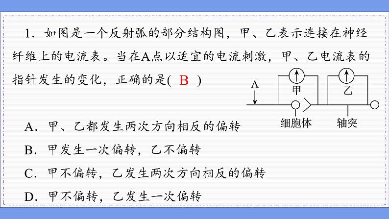 2—3 神经冲动的产生和传导 （练习课件PPT）02