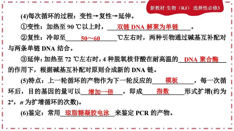 3.2基因工程的基本操作程序（课件PPT）第8页