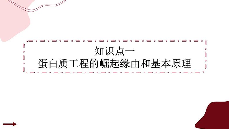 3.4蛋白质工程的原理和应用课件（课件PPT）04