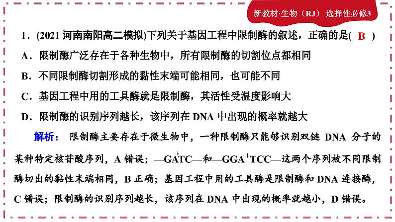 3.1重组DNA技术的基本工具（练习课件PPT）02