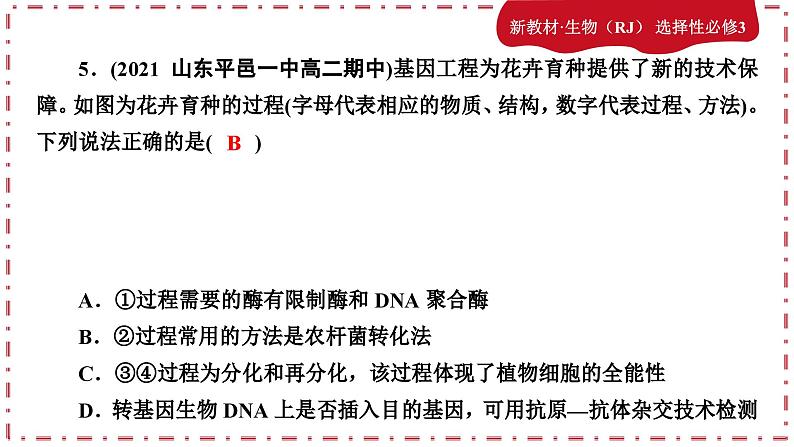 3.2基因工程的基本操作程序（练习课件PPT）07