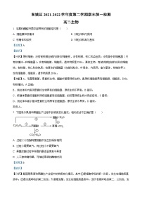 2022北京东城区高二下学期期末考试生物试题含解析