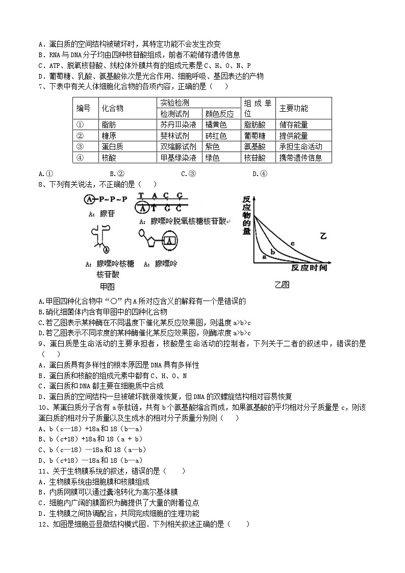 高二下期第三次考试生物科.docx第2页