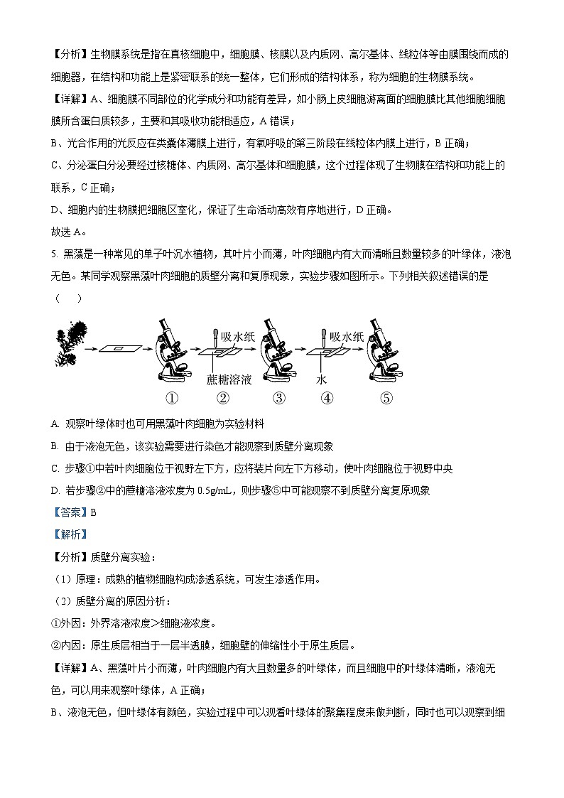 2022西安长安区一中高二下学期期末考试生物试题含解析03