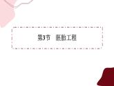 2.3.2胚胎工程（課件PPT）
